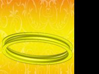 轉(zhuǎn)盤(pán)支承